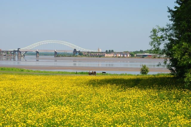 pickerings-pasture-1